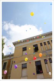  - (Maturanti Gimnazija 2013  / Širom Vojvodine)